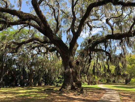 New Orleans City Park